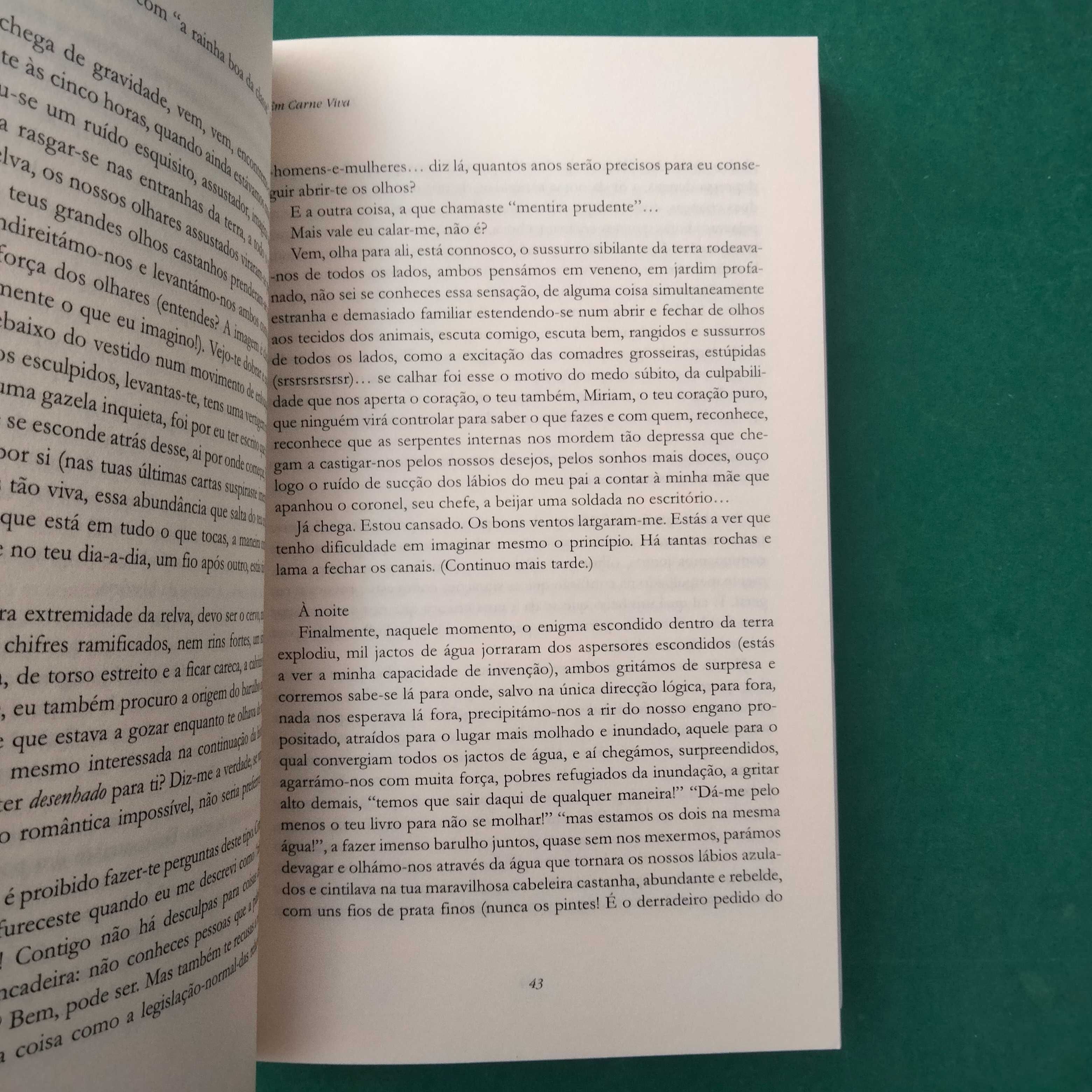 Em Carne Viva - David Grossman