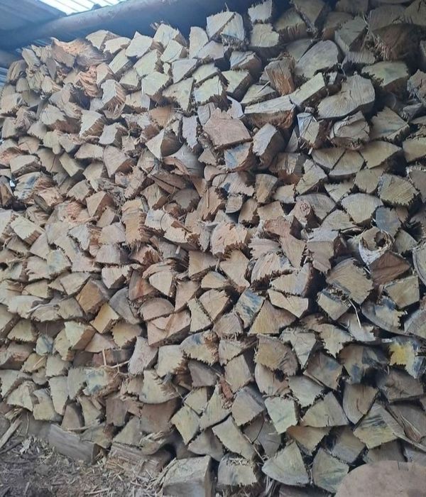 Vendo lenha seca