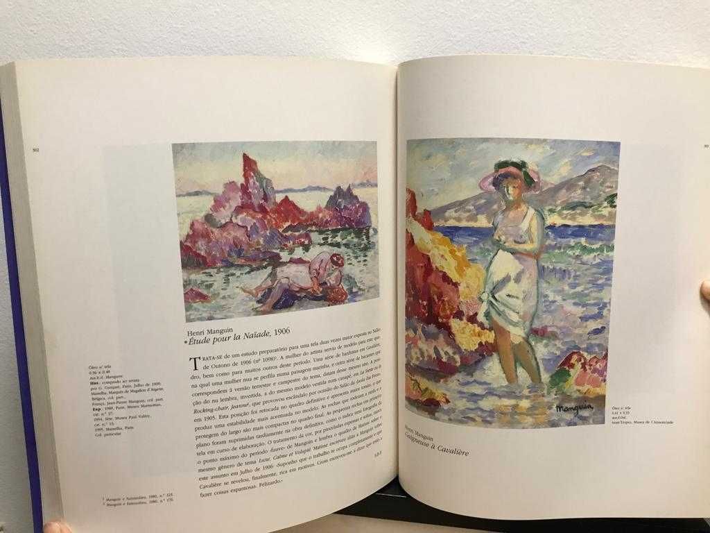 Livro " Cores e pintores na Provença"