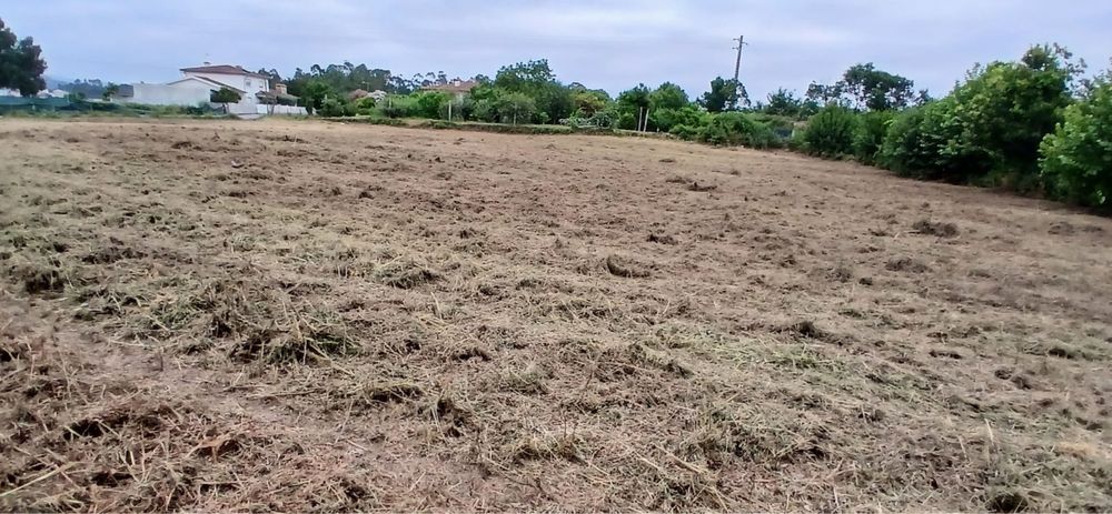 Terreno em Vila Verde e Barbudo