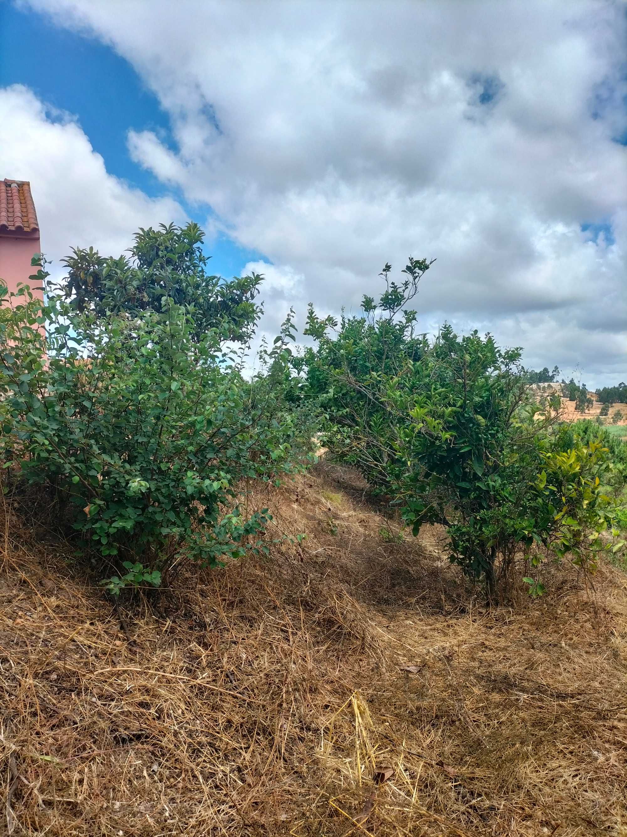 Moradia em terreno com 4080m²