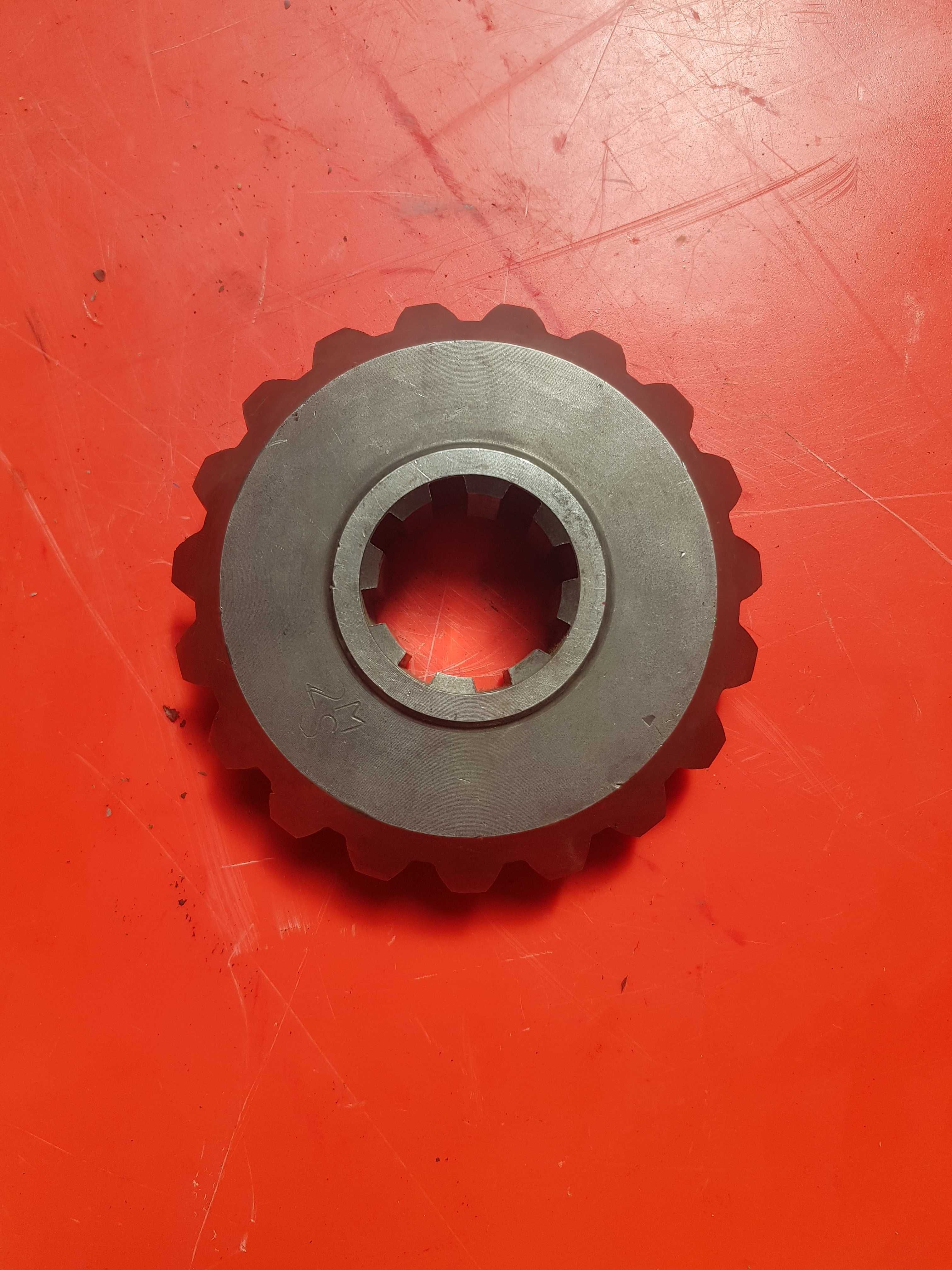 Koło zębate łukowe Z-19 T-088 Fortschritt  020013.1420