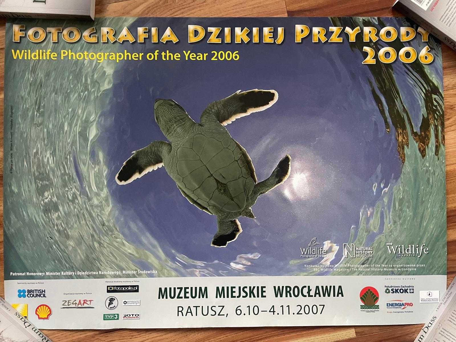 Plakat fotografia dzikiej przyrody 2006