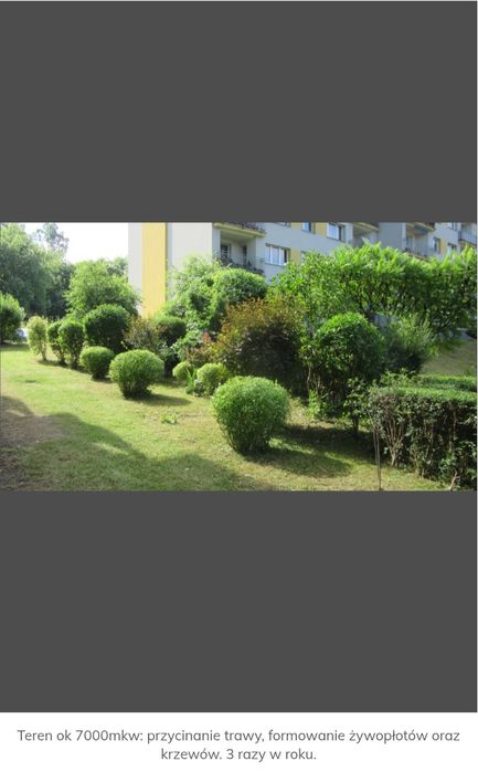 Koszenie trawy, Wycinka drzew