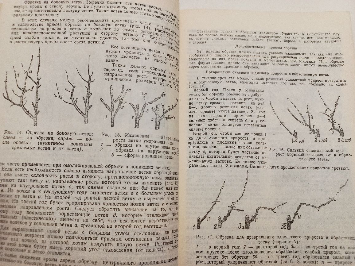 ...Формирование и обрезка плодовых растений 1991г. Д.И.Богачев