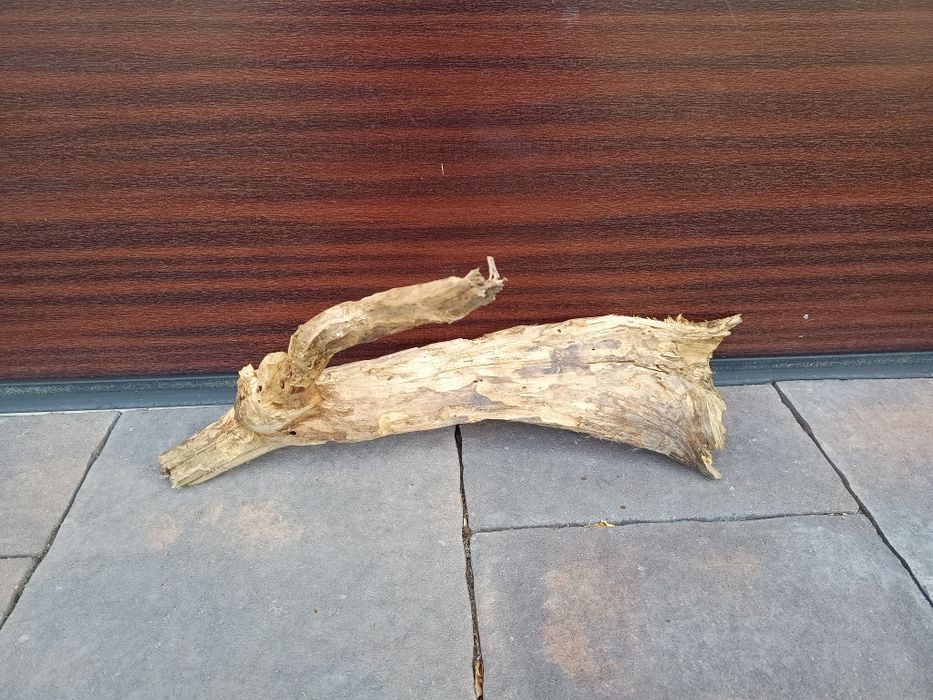 Średni, naturalny konar/kłoda do terrarium