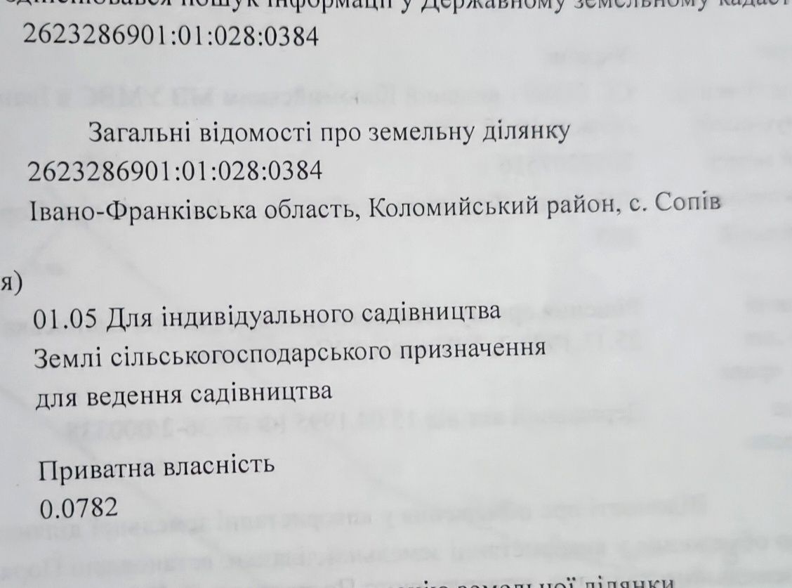 Будинок в с. Сопів