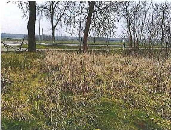 Syndyk sprzeda udziały w nieruchomościach położonych w Miłkowie