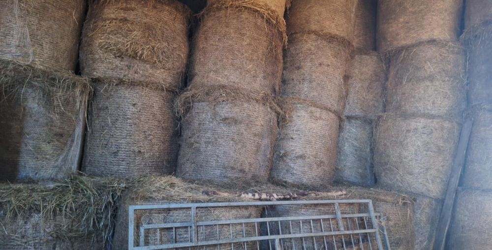 Sprzedam siano i siano kiszonkemożliwość transportu