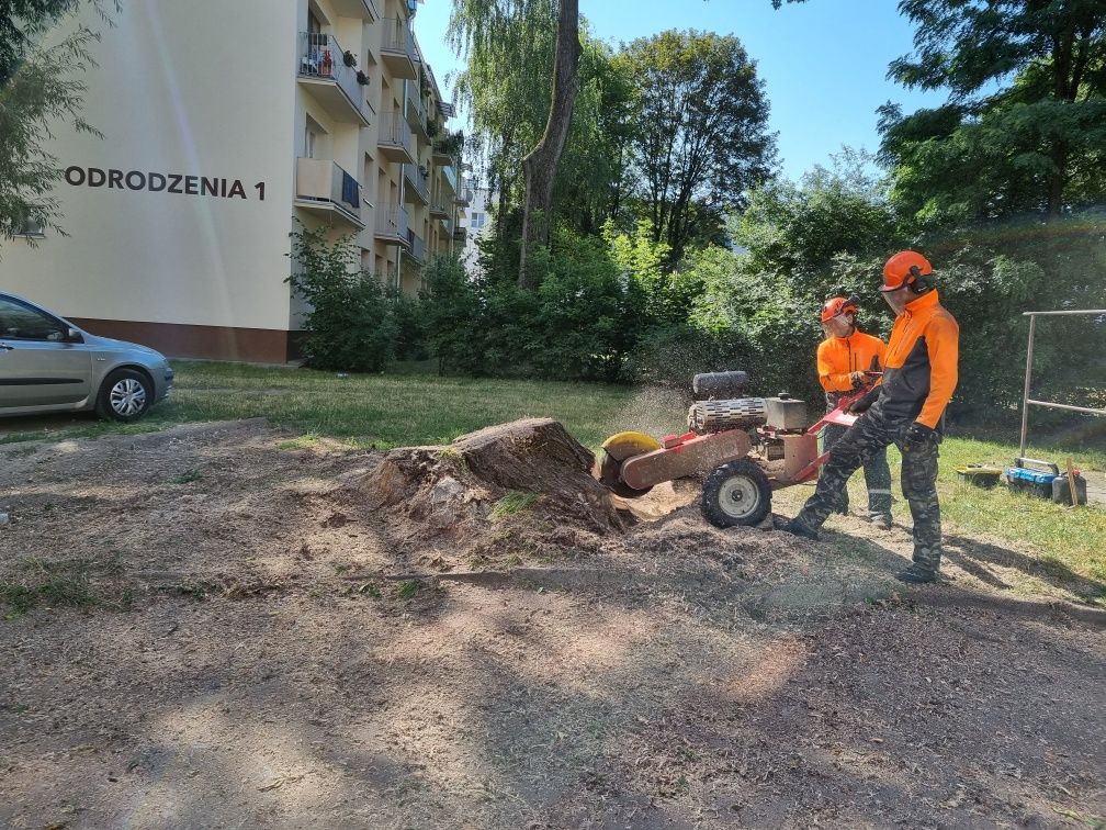 Drzewo drewno na opał kominkowe Ksawerów Aleksandrów Łódź