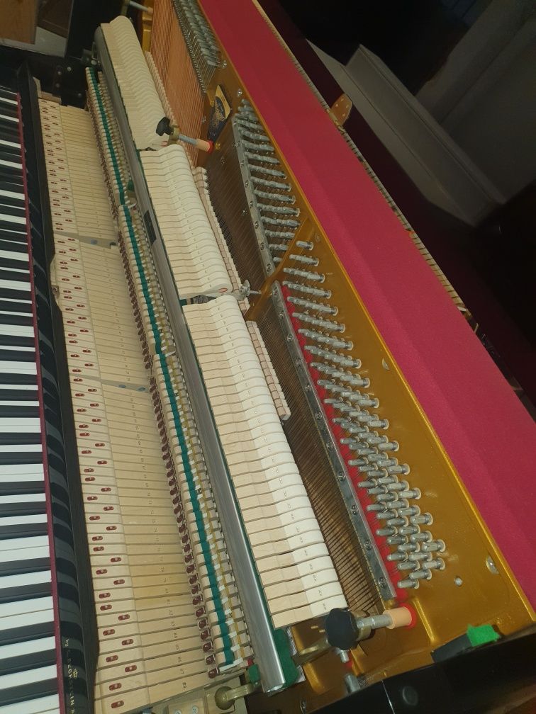 Pianino Euterpe ( Bechstein) z Silent System
