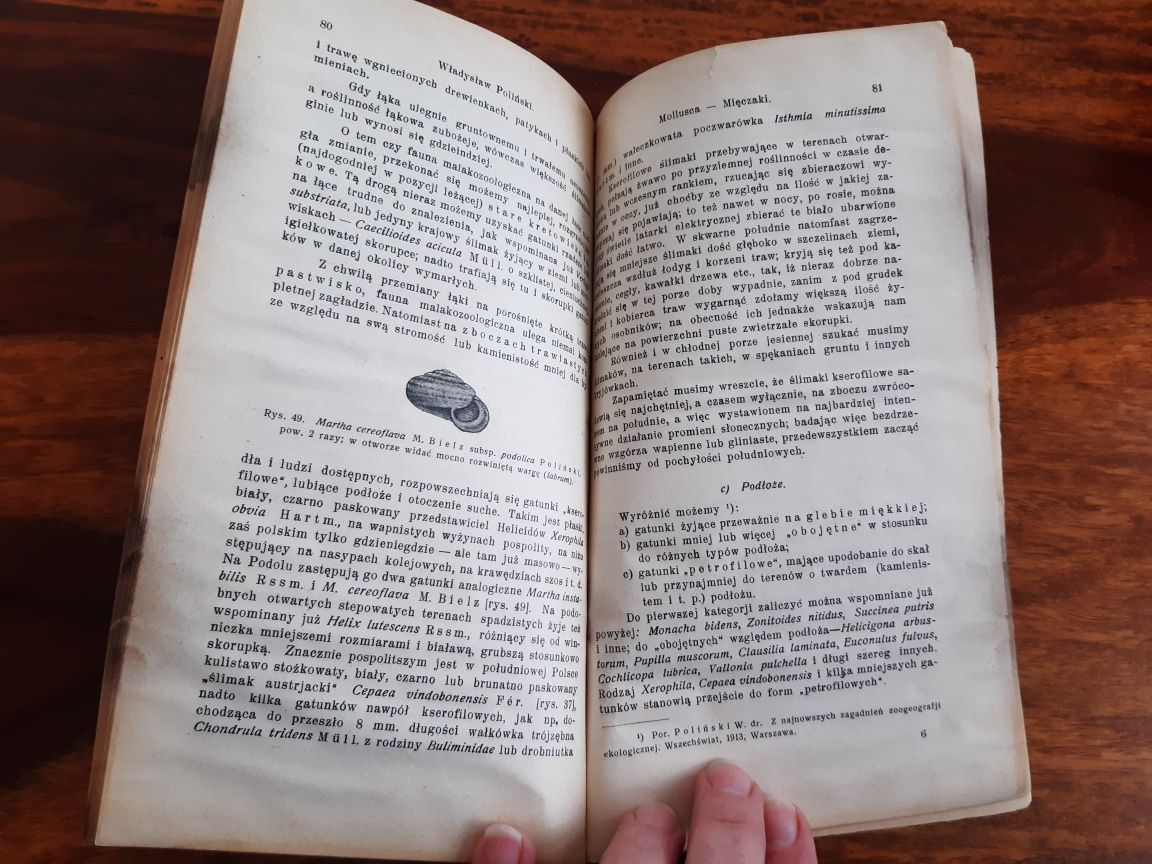 Podręcznik do zbierania i konserwowania zwierząt - książka z 1926 r.