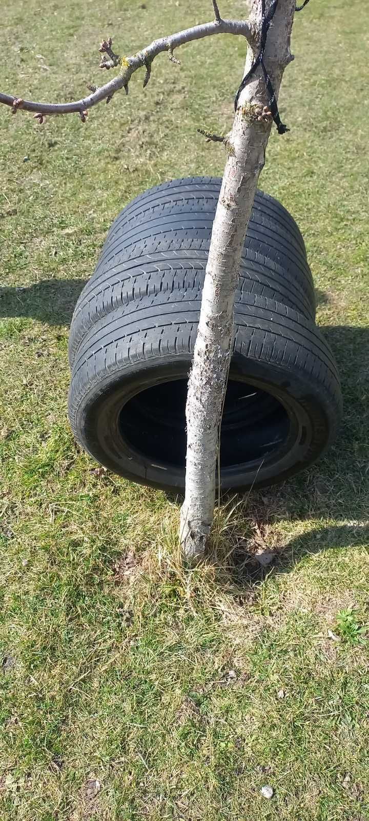 Шини Вridgestone 185/65 R15