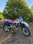 Honda XR 600R 92