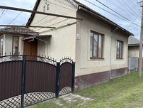Будинок з великою ділянкою