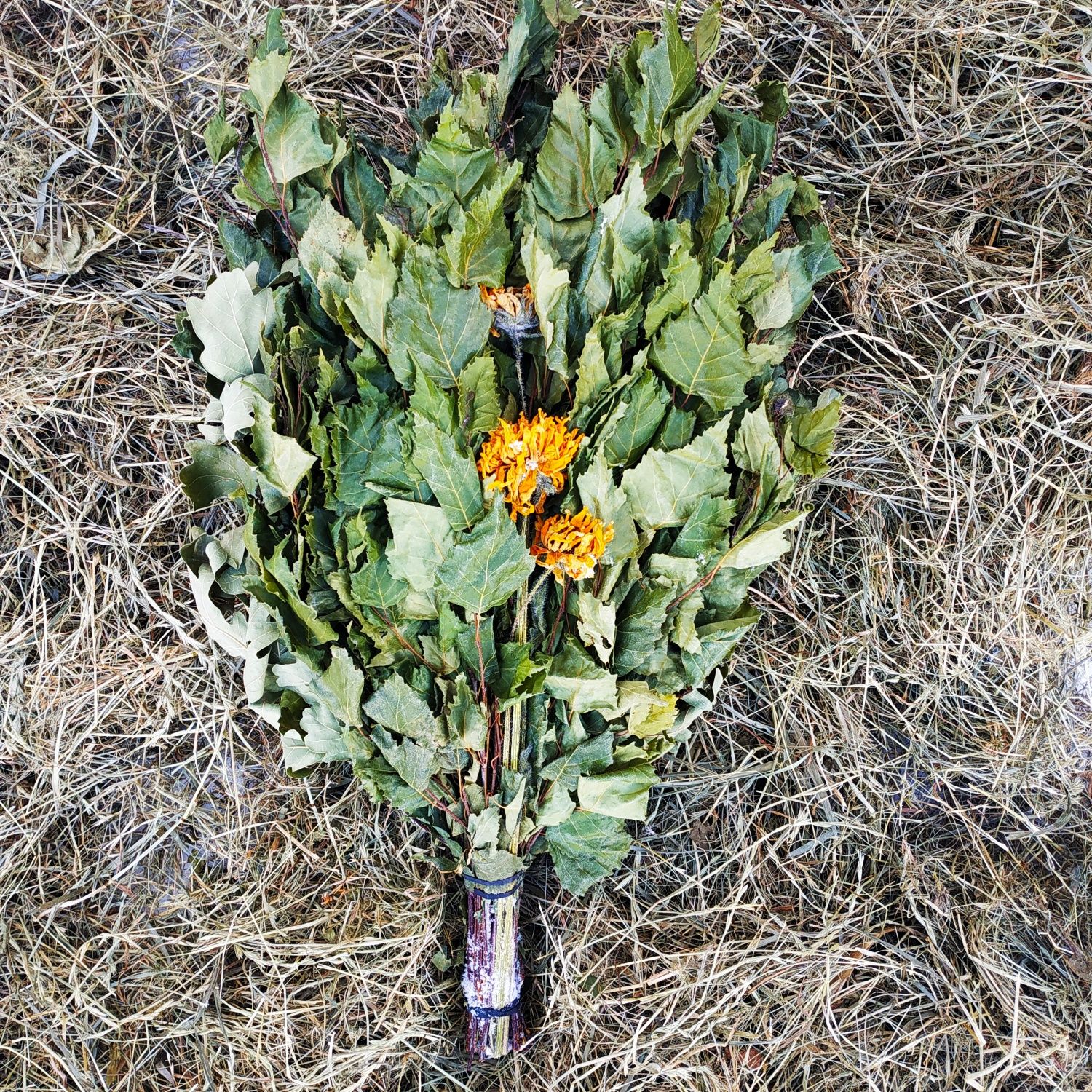 веники для бани( віникі банні) з травами.
