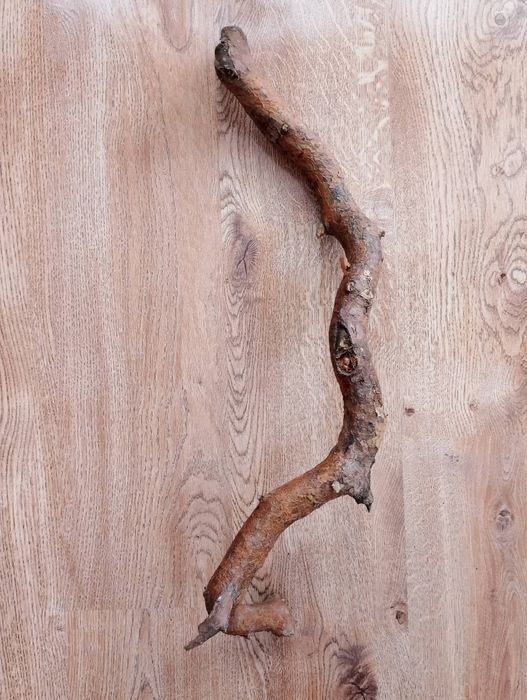 Naturalna gałąź drewno do rękodzieła