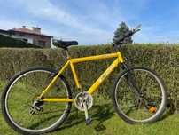 Rower gorski Bike project BK601