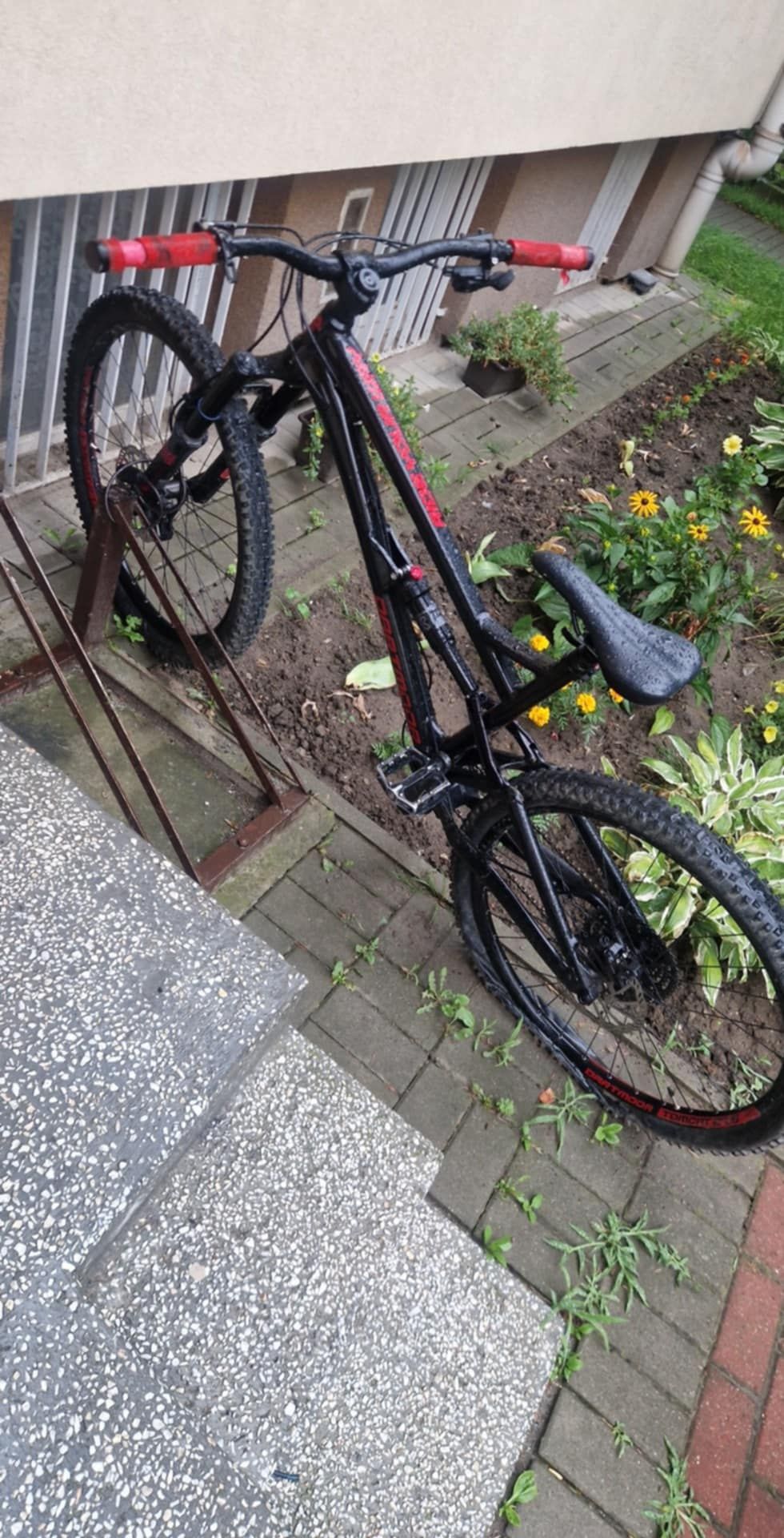Rower enduro Dartmoor Blackbird Intro 27.5 2021
