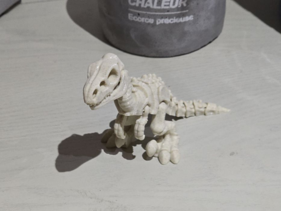 Esqueleto Dinossauro Velociraptor Articulado