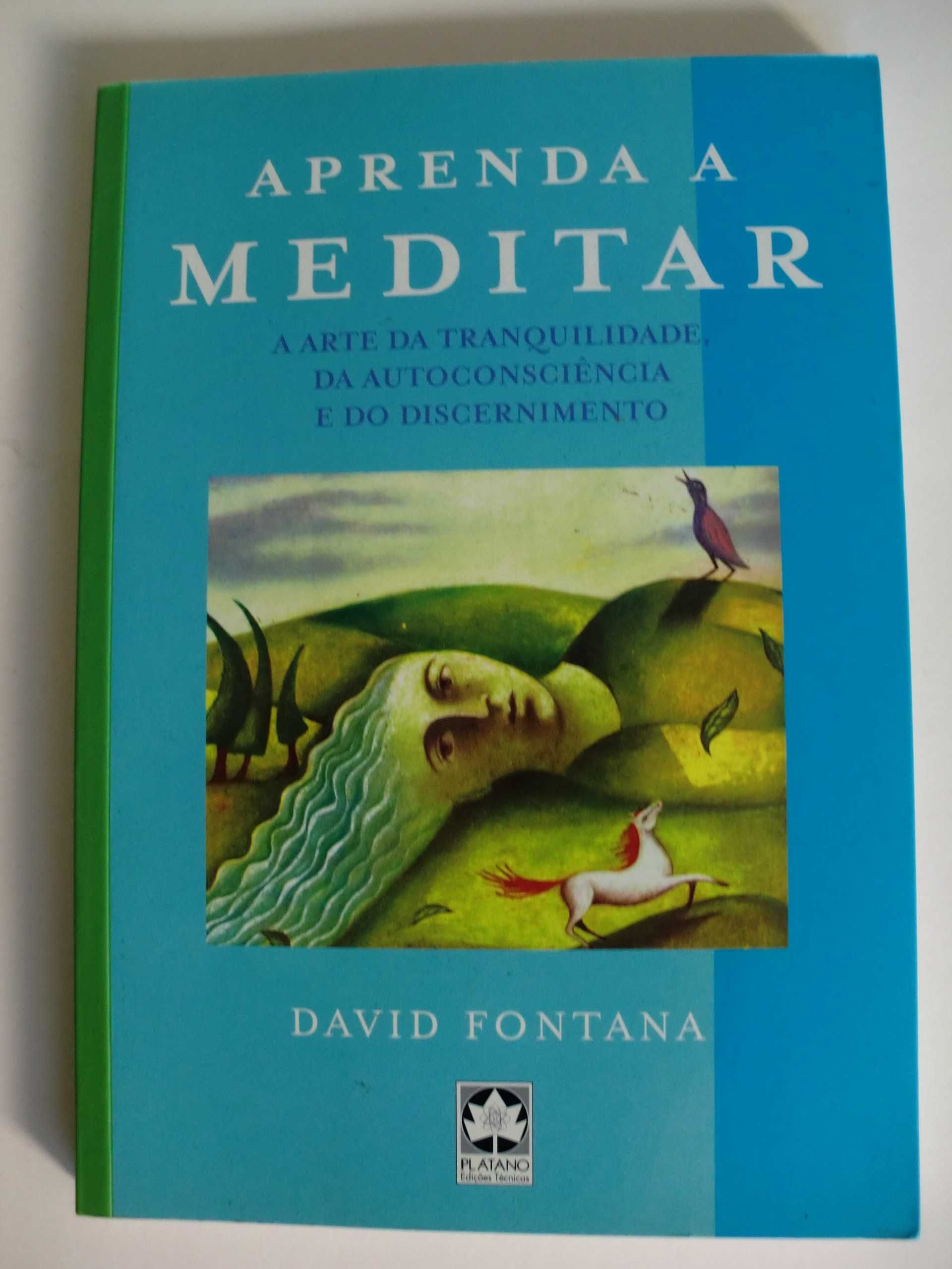 Aprenda a Meditar
de David Fontana