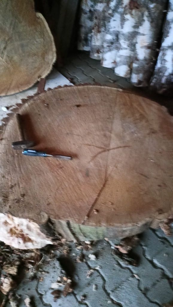 Plaster Dębowy okazja