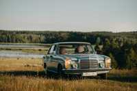 Zabytkowy samochód do ślubu, Mercedes W115