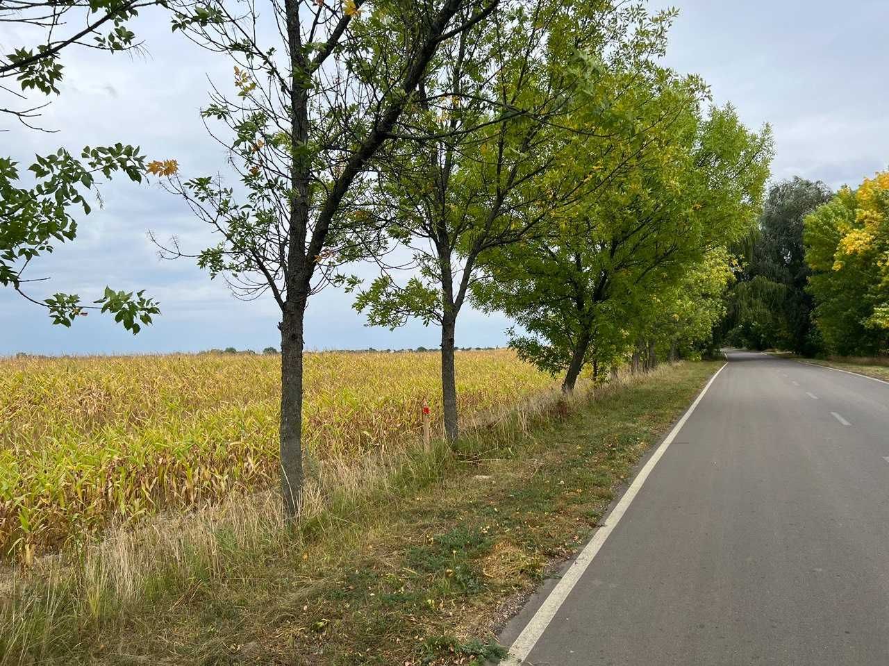 Дударків Фасадна ділянка 1 га