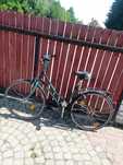 Rower damski damka