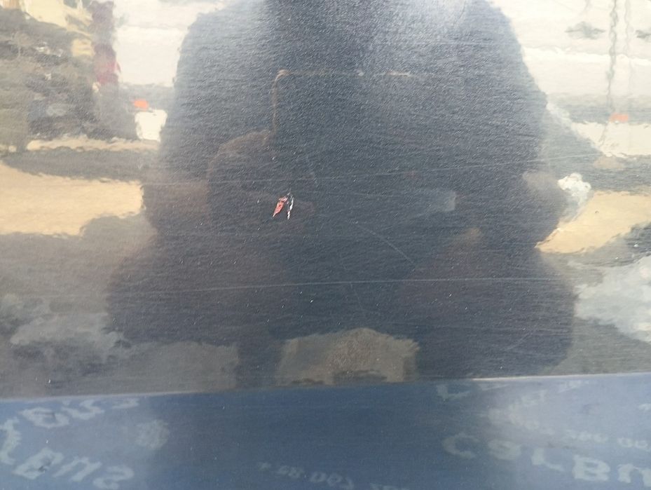 Двері задні ліві Audi Q7 4M Двери задние левые Дверь АУДИ КУ7 4М Шрот