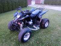 Quad 250 EGL Bashan
