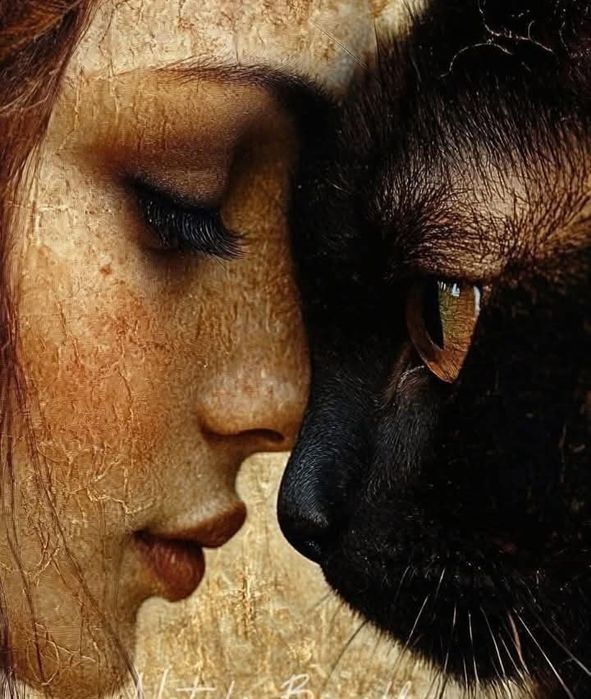 Перетримка ваших улюбленців. Вигулювання тварин. Передержка животных.