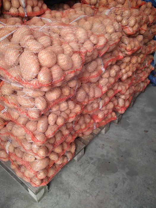 Ziemniaki jadalne Vineta, Bellarosa, Jurek