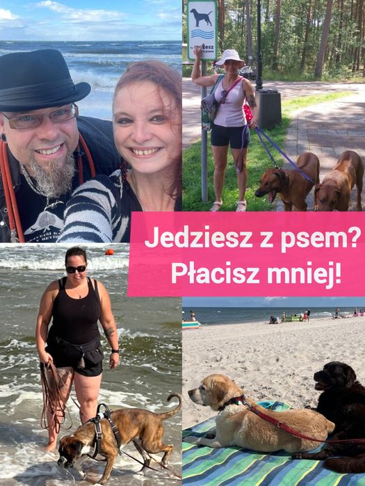 Urlop z psem! Całoroczny, murowany dom nad morzem w Pogorzelicy!