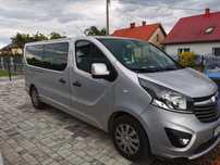 Opel Vivaro Stan bardzo dobry, bezwypadkowy