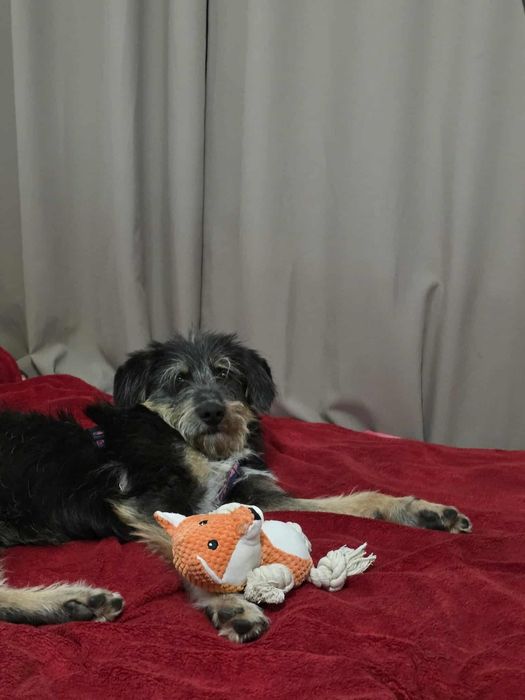 On nie prosi o cud — tylko o miejsce w Twoim sercu.