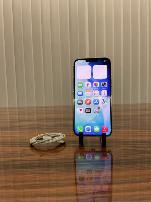 Apple iPhone 13 Pro Max + Carregador