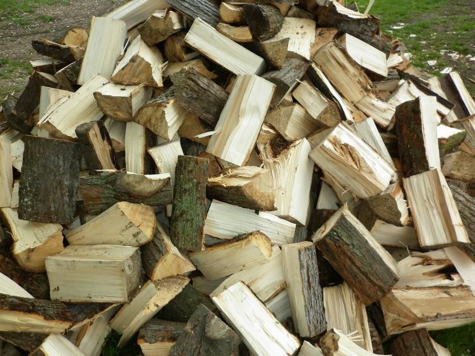 Drewno kominkowe i opałowe LIPA