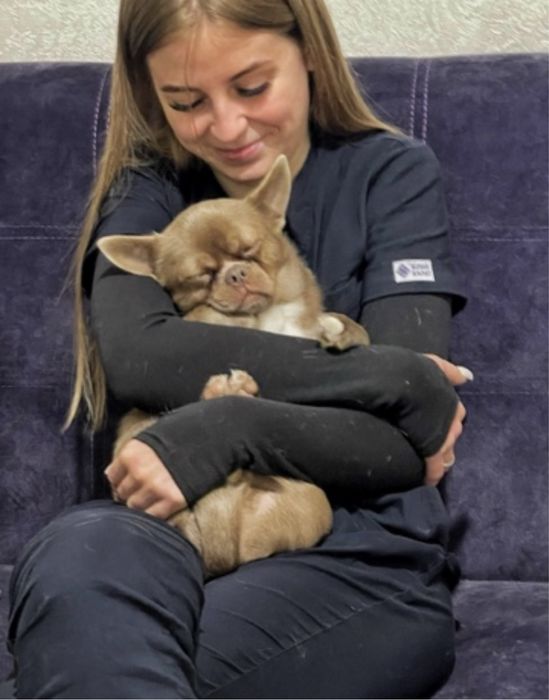 Передержка животных/Перетримка тварин /Готель для тварин /Вигул