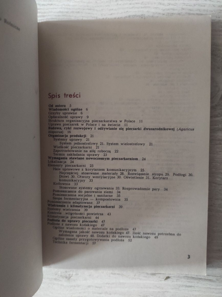 Pieczarka Krystian Szudyga 1984