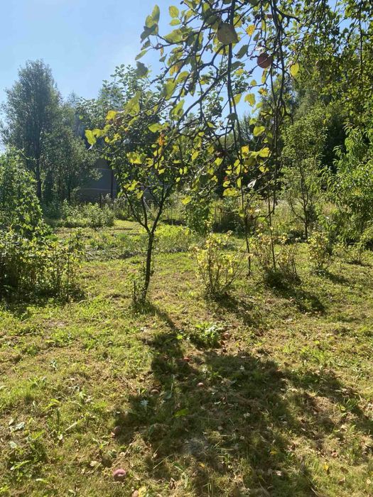 Продаж дачний будинок і прилегла земля