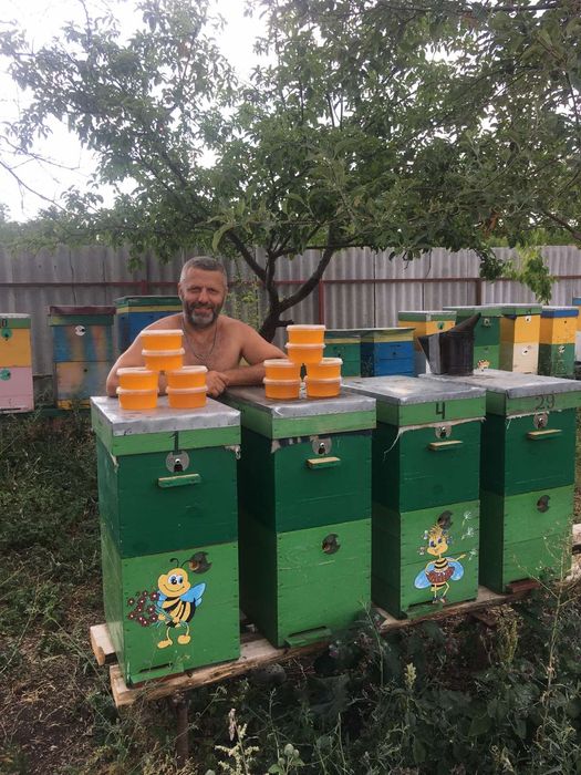 Продам мед  з власної пасіки.