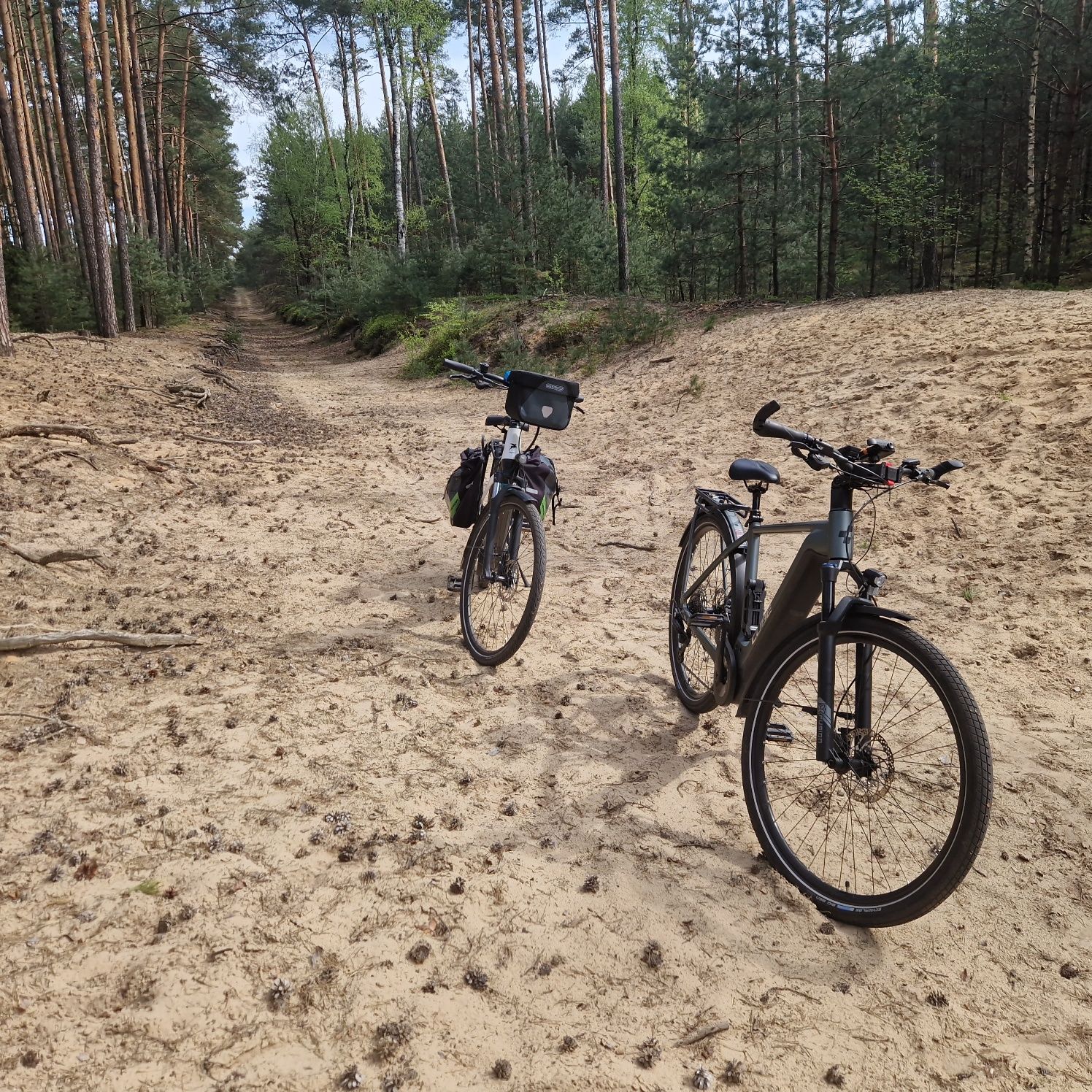 Rower elektryczny ebike bosch Cx4 smart wypożyczalnia