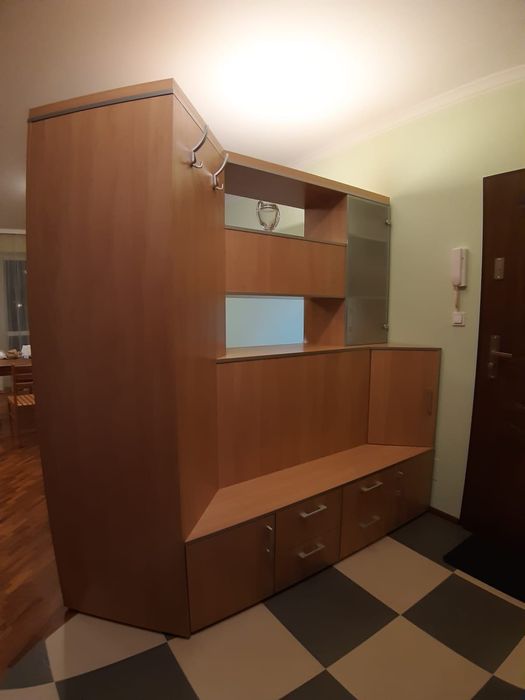 Oryginalny mebel przedpokoj, salon