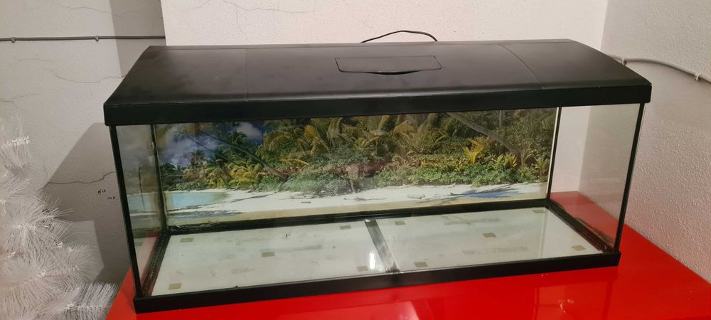 Aquário 100 litros
