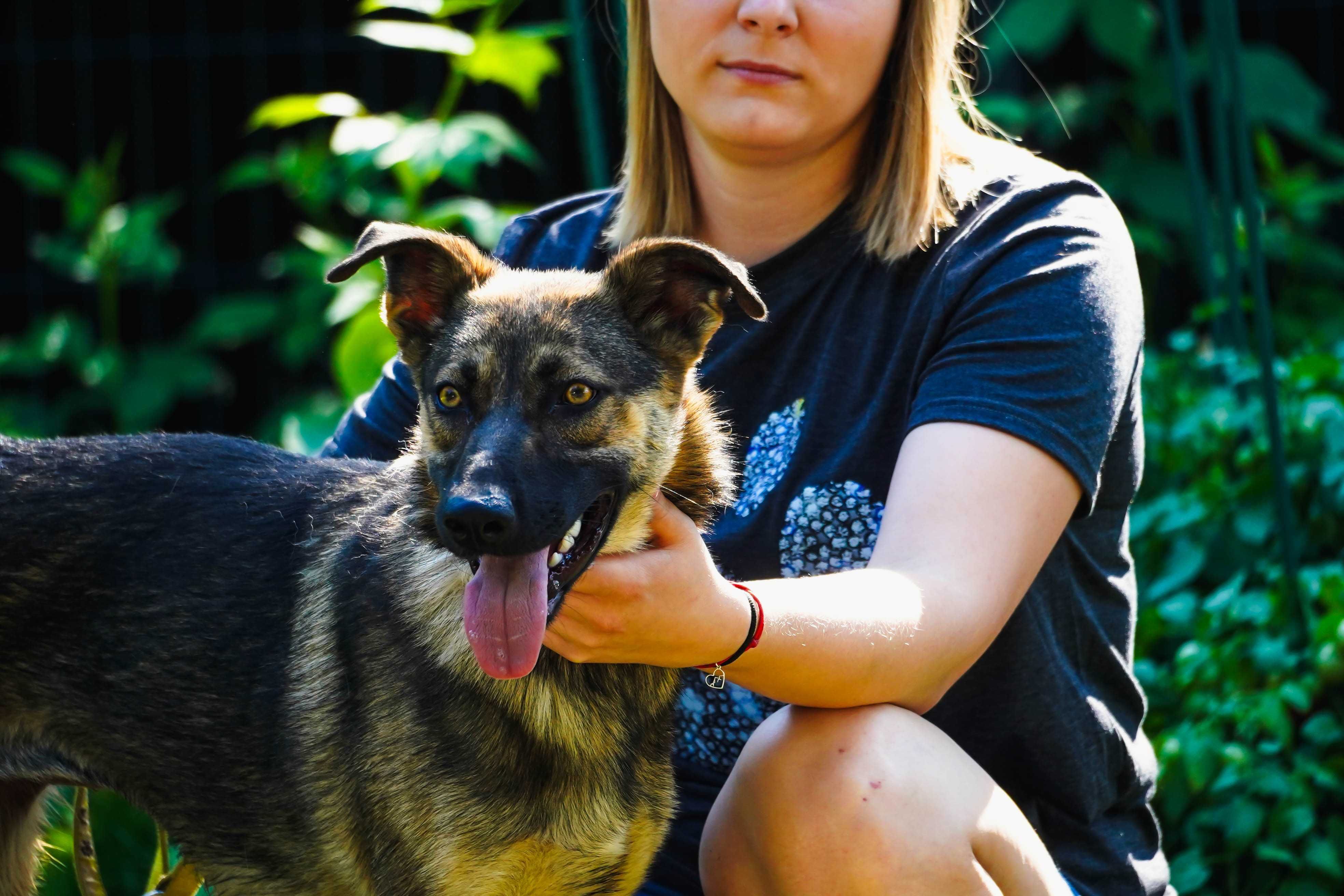 Dakota - mega fajna młoda sunia do adopcji