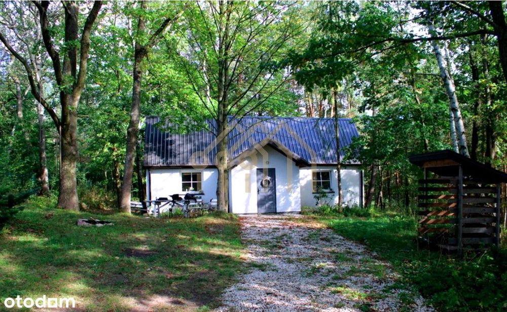 Dom w lesie | działka 2629 m2 | Pniewy - Osieczek