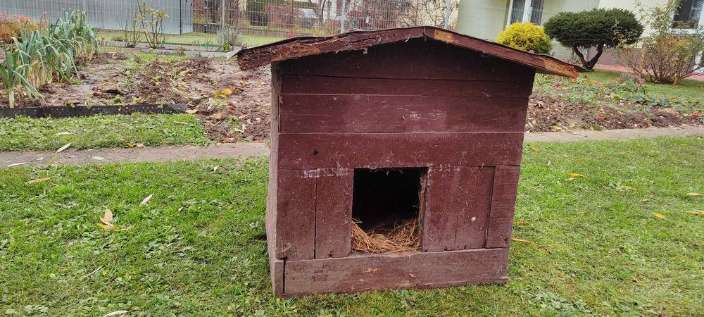 Buda dla psa, ocieplana