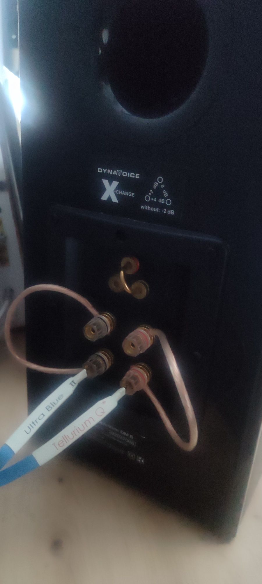 Kolumny Dynavoice pm6