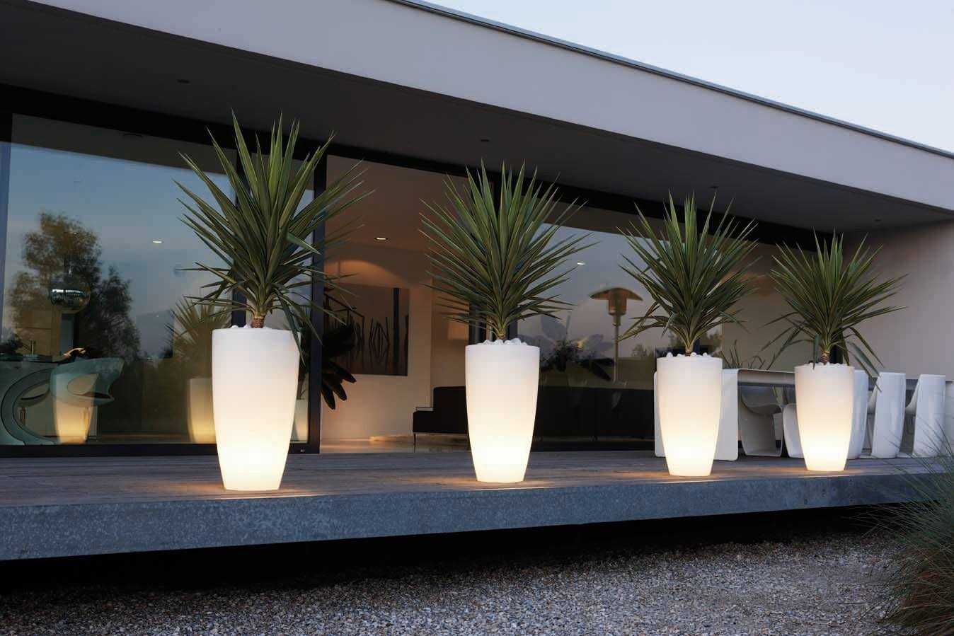 Vasos com iluminação led